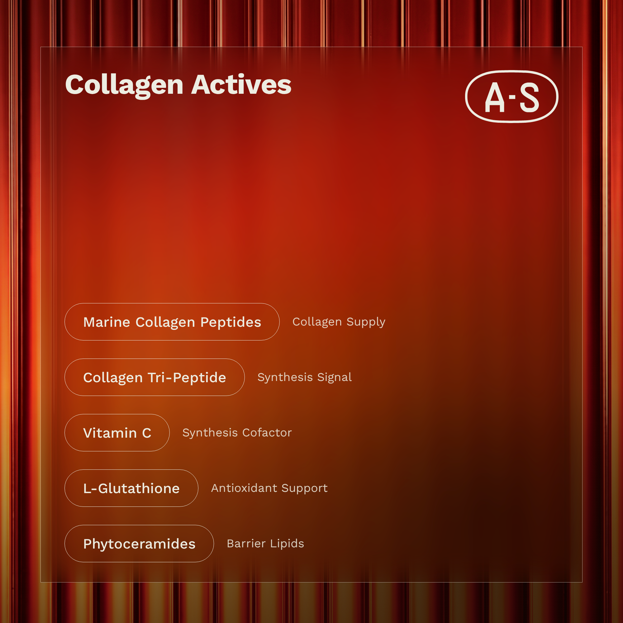VitalBuild Daily Collagen Powder