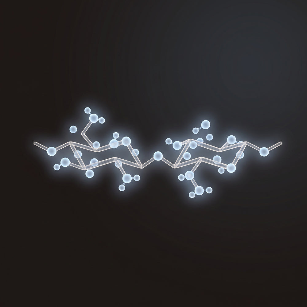 Hyaluronic Acid ingredient graphic